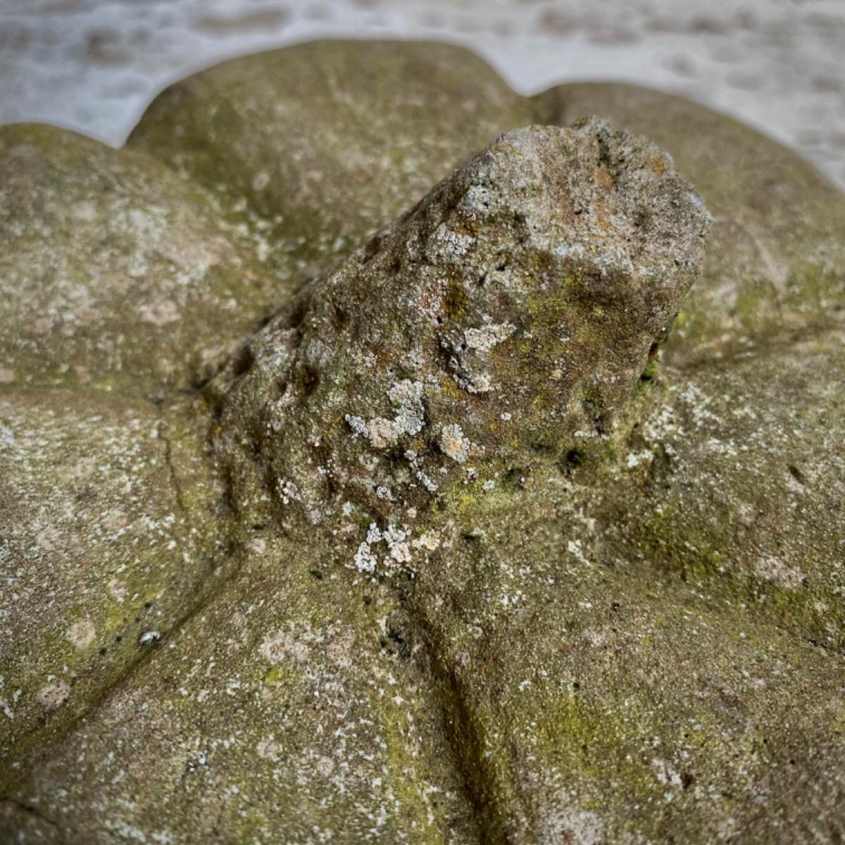 Garden concrete pumpkins