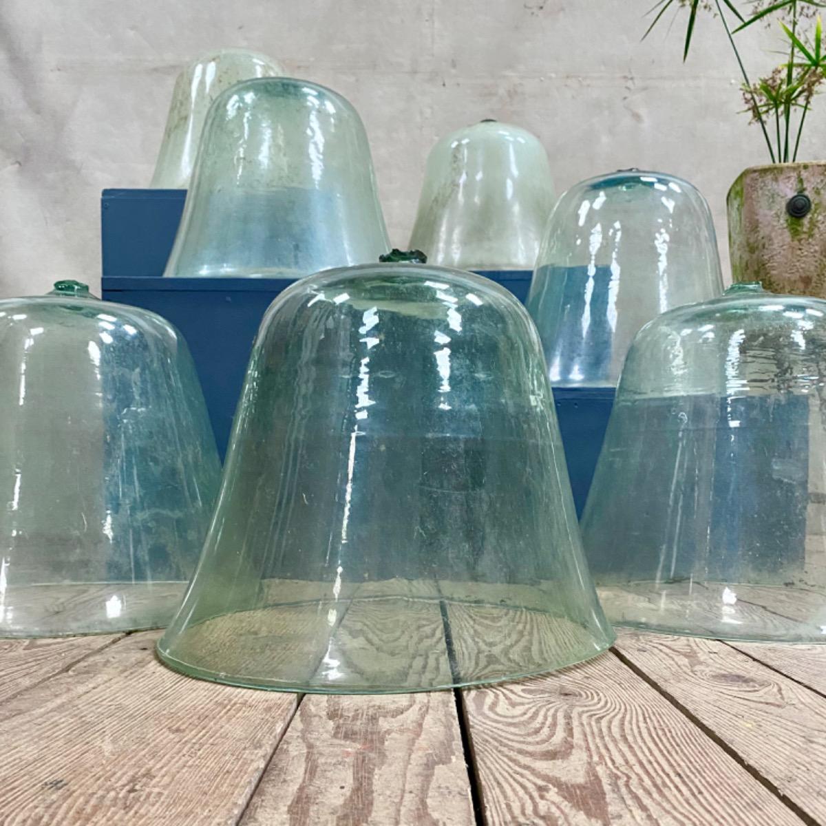 Garden glass domes