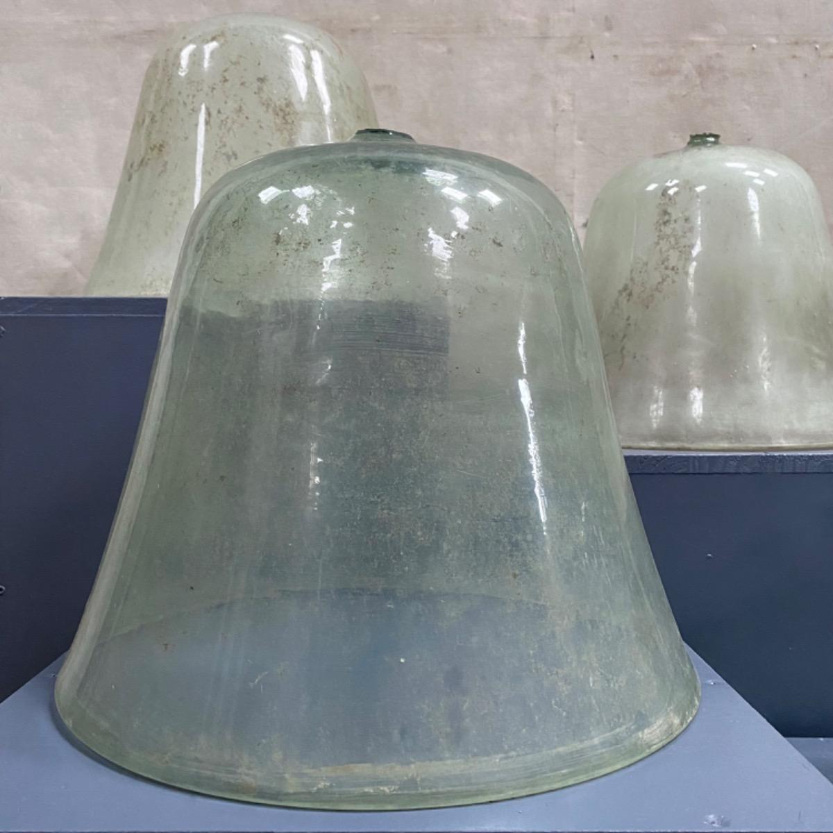 Garden glass domes