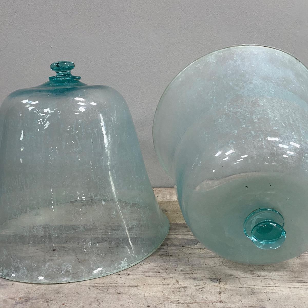 Garden glass domes 